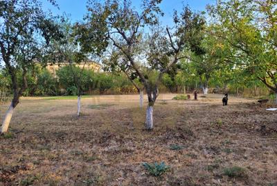 DOM00438 - De vanzare teren intravilan 1000 mp. Corbeanca - 1