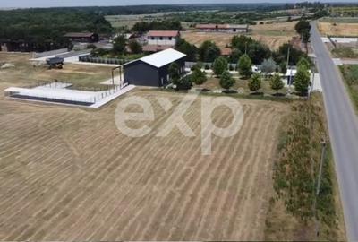 Black Angus Farm with authorized Slaughterhouse - 4
