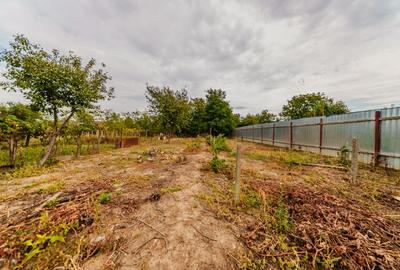 De vânzare casă în Sânicolaul Mic, Arad - 5