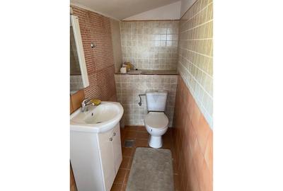 REV0000107 Vila cocheta - Domenii - 15