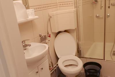 Apartament 3 camere de închiriat Ultracentral – Universitate - 5