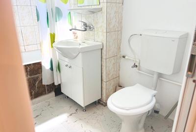 Apartament cochet si primitor 2 camere, George Enescu - zona Liceul Energetic - 9