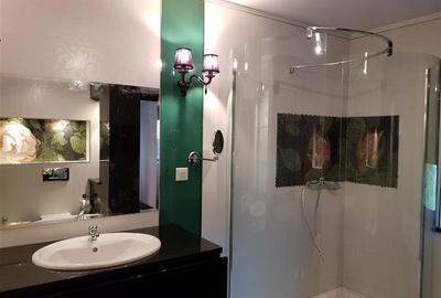 Ambasada SUA. Apartament 300mp, terasa 100mp, garaj. - 21