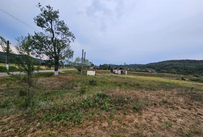 Teren localitatea Balata - 4