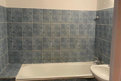 Teiul Doamnei vanzare apartament de 3 camere Cristea Mateescu - 3