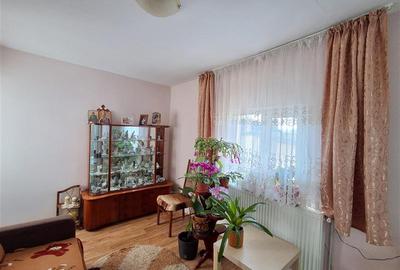 3 case + 808mp teren - Letcani,Iasi - 7