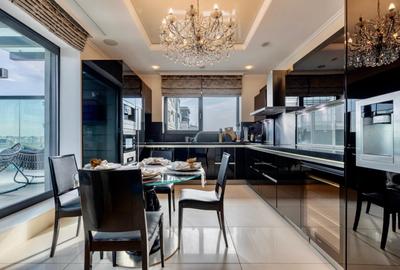 Penthouse tip duplex de vanzare 5 camere zona Floreasca, Bucuresti 474 mp - 15