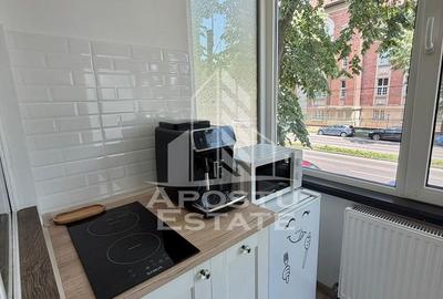 Apartament cu 1 camera de inchiriat, petfriendly, Balcescu, Timisoara - 3