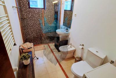 Apartament 2 Camere Herastrau Bucuresti - 17