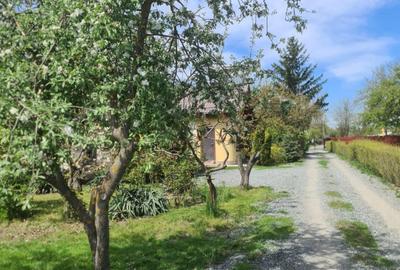 Casa curte/ Otopeni/ curte foarte mare/firma rent a car/parcare long t - 11