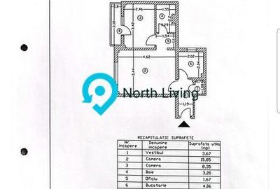 Piata Victoriei-Doctor Iacob Felix - 9