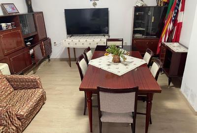 Casa 216mp cu vie si livada, 2500 mp teren – Horodistea, comuna Cotnari, Iasi - 10