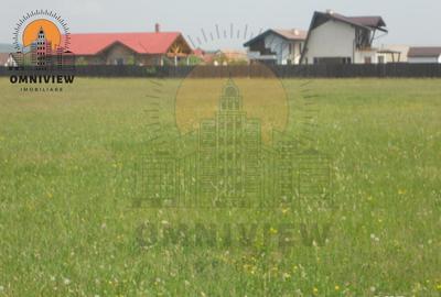 Teren Intravilan 8.000 mp Parcelat, Utilități Disponibile, Podul Olt – Brașov - 1