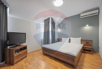 Casă / Vilă cu 16 camere de vânzare Sanmartin/Stefan cel Mare - 19