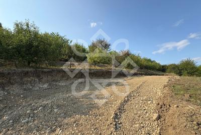 Teren intravilan de vanzare pe strada Soarelui, Oradea - 5