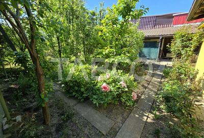 Casa spatioasa de vanzare teren 432 mp zona linistita - Lupeni Sibiu - 2