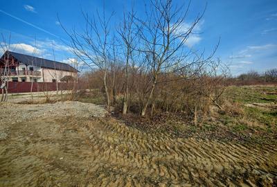 Teren intravilan 2273 mp in Pitesti, str. Mateias, iesire spre Campulung Muscel - 3