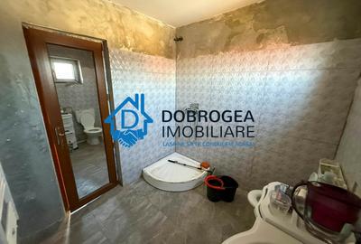 ZONA  ALEXANDRU CEL BUN -  VILA P+1 ,TEREN 280 MP - 9