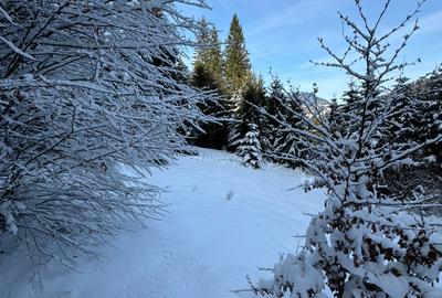 Teren Cioplea Predeal - 6