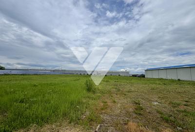 Teren intravilan industrial 11.059 mp, PUZ aprobat, asfalt - zona Vest - 3