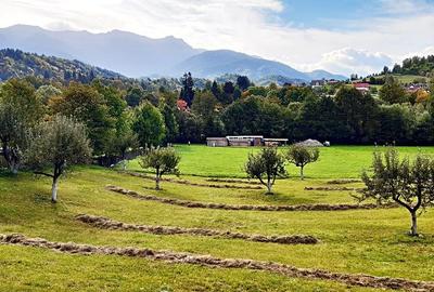 Teren superb de 16240mp, parcelabil, in Bran la intrare in Moeciu de Jos - 1