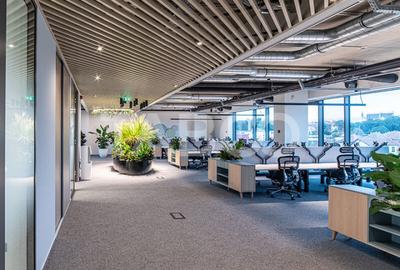 Birouri premium in Sibiu–Spatii flexibile moderne pentru companii - 11