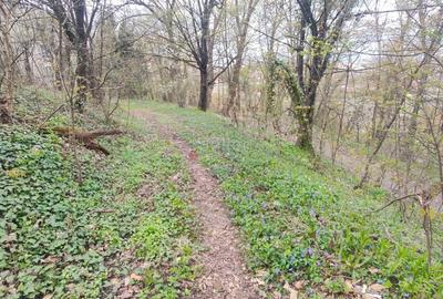 Teren Intravilan Centrul Civic - 11