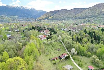 Teren intravilan Bran- Predelut - 13