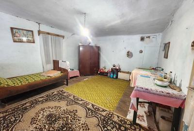 Comision zero! Vand casa în comuna Gârnic Caraș-Severin - 7