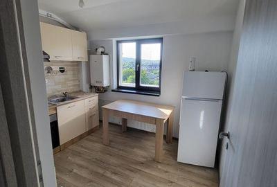 Apartament cu 1 camera decomandat Valea Adanca - 3