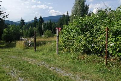 Teren intravilan in Izvoru Muresului str. Taberei - 3