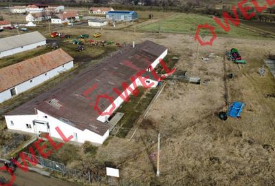 Clădire industrială de vânzare pe DN12! - 3
