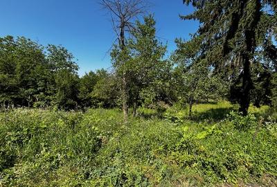Teren doua loturi 3100 mp. - 2800 mp. Dăesti - Valcea - 7