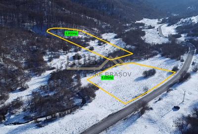 Teren Pretabil Investitie | Parau Rece Rasnov | 10.035mp | Extravilan - 1