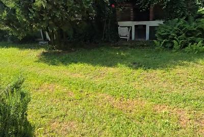 Vanzare vila P+1+M cu 5 camere, casa batraneasca , 2 garaje, teren 9249mp, - 22
