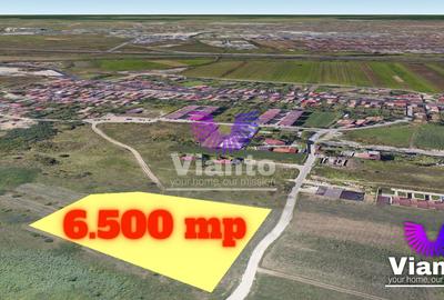 Teren Construcții intravilan de 6500 mp, în Gușterița