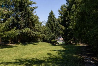 Vilă exclusivistă pe malul Lacului Snagov | Complet renovata | 2.950 mp teren - 38