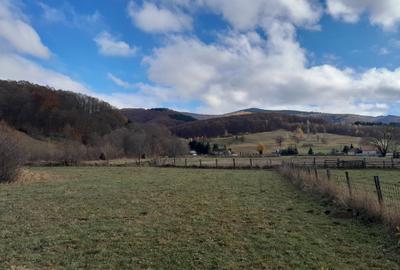 Teren Construcții intravilan de 4196 mp, în Dobârlău