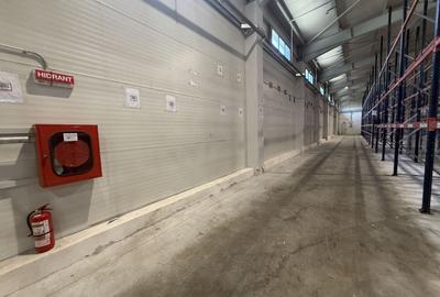 Depozite logistice 5.000 mp de vânzare, Dragomirești-Vale, Centură - 10