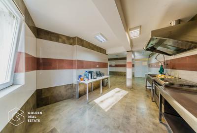 Proprietate pretabila pentru afacere, Cladova - 23