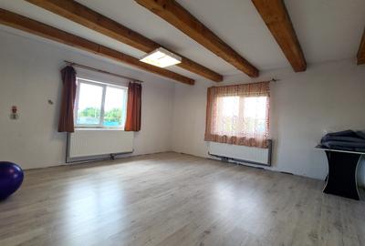 CASA DE VANZARE PODUL OLTULUI CU ACCES PRIVAT - 15