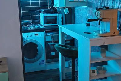CI692 Sagului,2 camere,Renovat - 6
