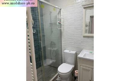 Casa de inchiriat : Cantacuzino-(Mos Craciun) - 15
