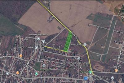 Teren 9.586 mp Brănești-Pasărea | Lotizare 16 loturi - 3