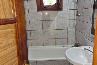 Apartament cu 3 camere semidecomandat Alexandru cel Bun, Minerva lângă bulevard - 8