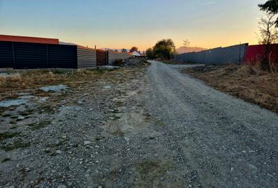 Teren 1450 mp intravilan, construibil Carpinis - 8