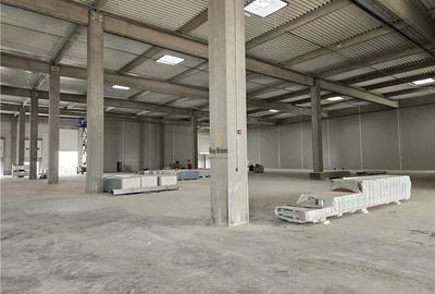 Spatiu Industrial - 1770 mp - Productie - Depozitare - Distributie - 5
