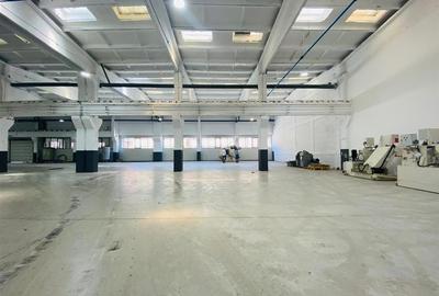Hale Calea Chisinaului Iasi aproape de Carrefour de la 65mp la 2000mp - 13