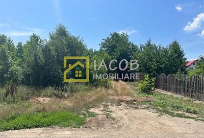 Teren Intravilan 5165 mp Str. Aeroportului Bacau - 4