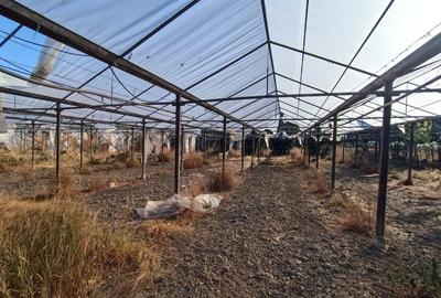 SERĂ INDUSTRIALĂ CU TEREN INTRAVILAN  – OPORTUNITATE RARĂ in Olari - 12